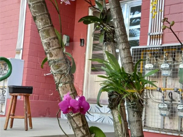 Apartamento à venda com 3 quartos em Tucuruvi, São Paulo, SP