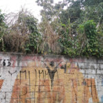 Terreno Barro Branco