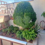 Excelente Casa Térrea à Venda – Vila São Bento – Jundiaí/SP