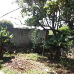 Casa térrea à venda em local tranquilo e arborizado