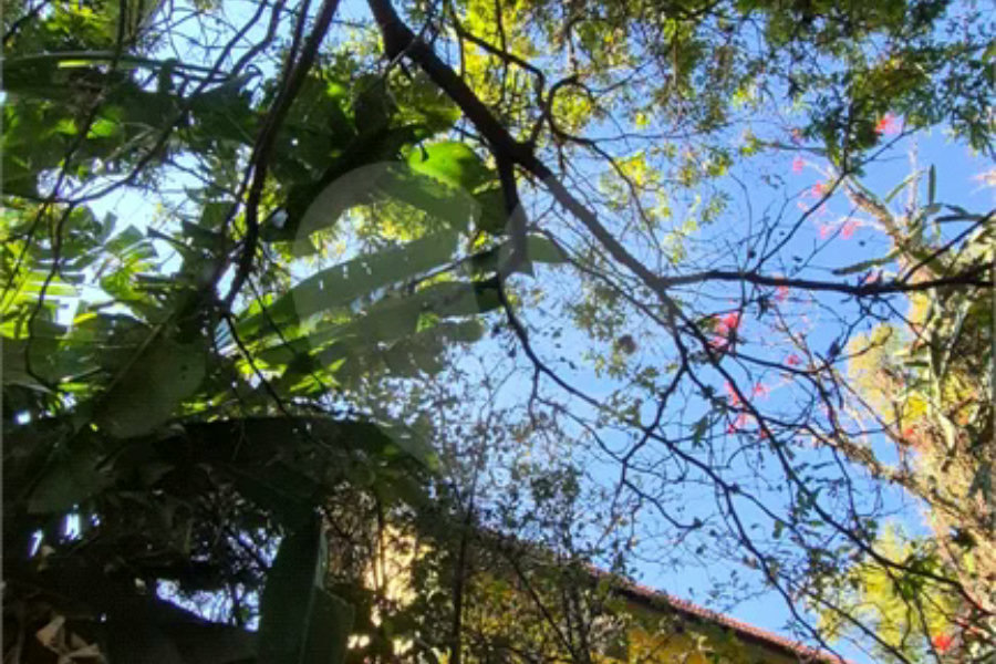 Casa com Piscina, Sauna e Edícula em Rua Arborizada no Tremembé