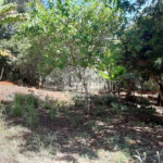 Sitio São João - Km 258