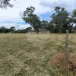 Loteamento Residencial no Condomínio Vila Pinhal do Broa.