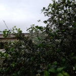 Oportunidade Incrível no Bairro Jardim Líbano!