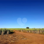 Fazenda em Ribeirão Bonito