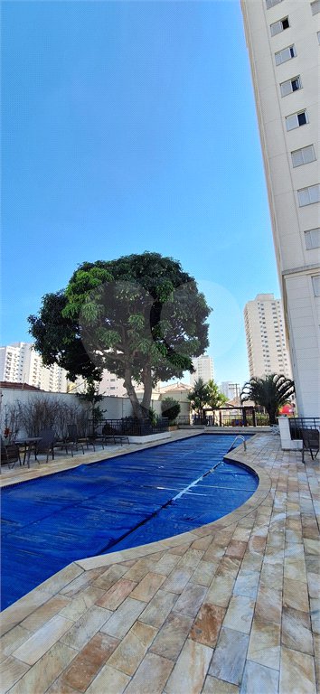 3 Dormitórios - 1 Suíte - 2 Vagas