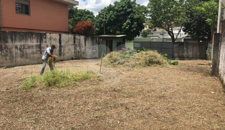 Terreno à venda em Vila Cordeiro, São Paulo, SP