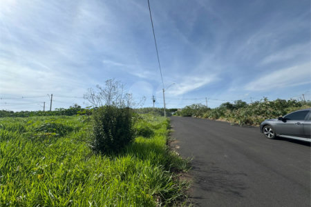 Terreno comercial com 260m2, próximo da rodovia Washington Luiz, em São Carlos.
