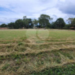 Loteamento Residencial no Condomínio Vila Pinhal do Broa.