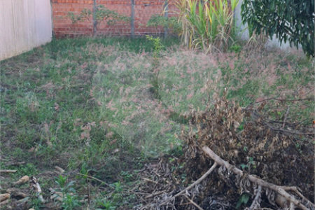 Terreno murado com portão e concertina no Jardim Embaré,