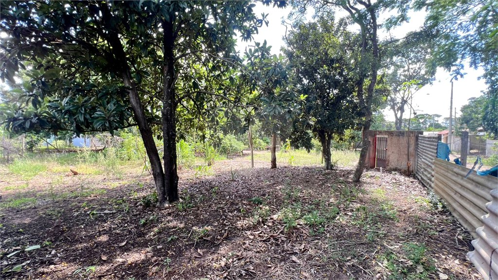 Lote à venda no Balneário Santo Antônio – Broa