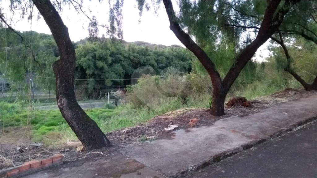 Terreno com 453,50 m² de área total.