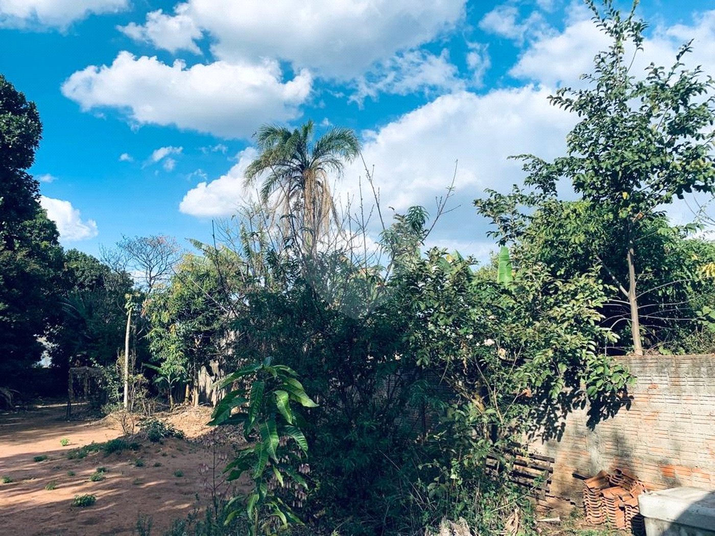 EXCELENTE CHACARA EM IBATE.