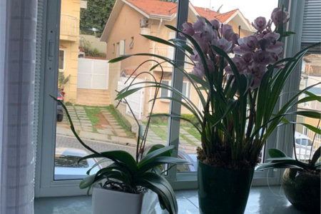 Casa à venda – 166m² – Condomínio Villagio Dei Fiore