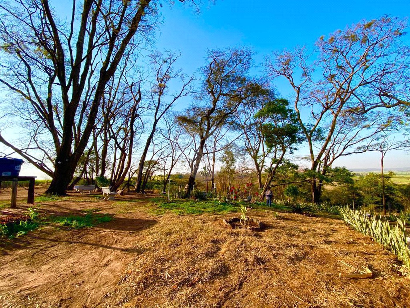 Sítio na cidade de Taiuva-SP.
