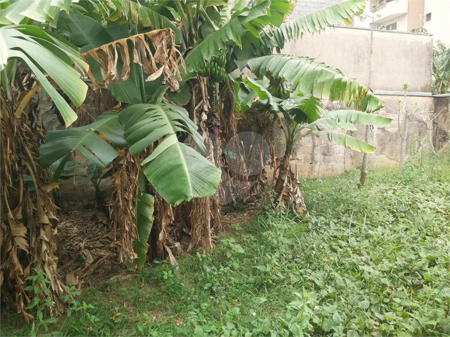 Casa térrea a venda no centro de São Carlos com 3 quartos