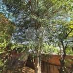 Casa à venda – Bairro Santa Rosa – Piracicaba/SP