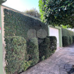 Casa Térrea à venda com 3 quartos, sendo 1 suíte, em Vila Sfeir, Indaiatuba, SP