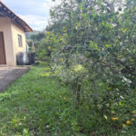 Sítio à venda com 3 quartos, sendo 1 suíte, no Centro, Guararema, SP