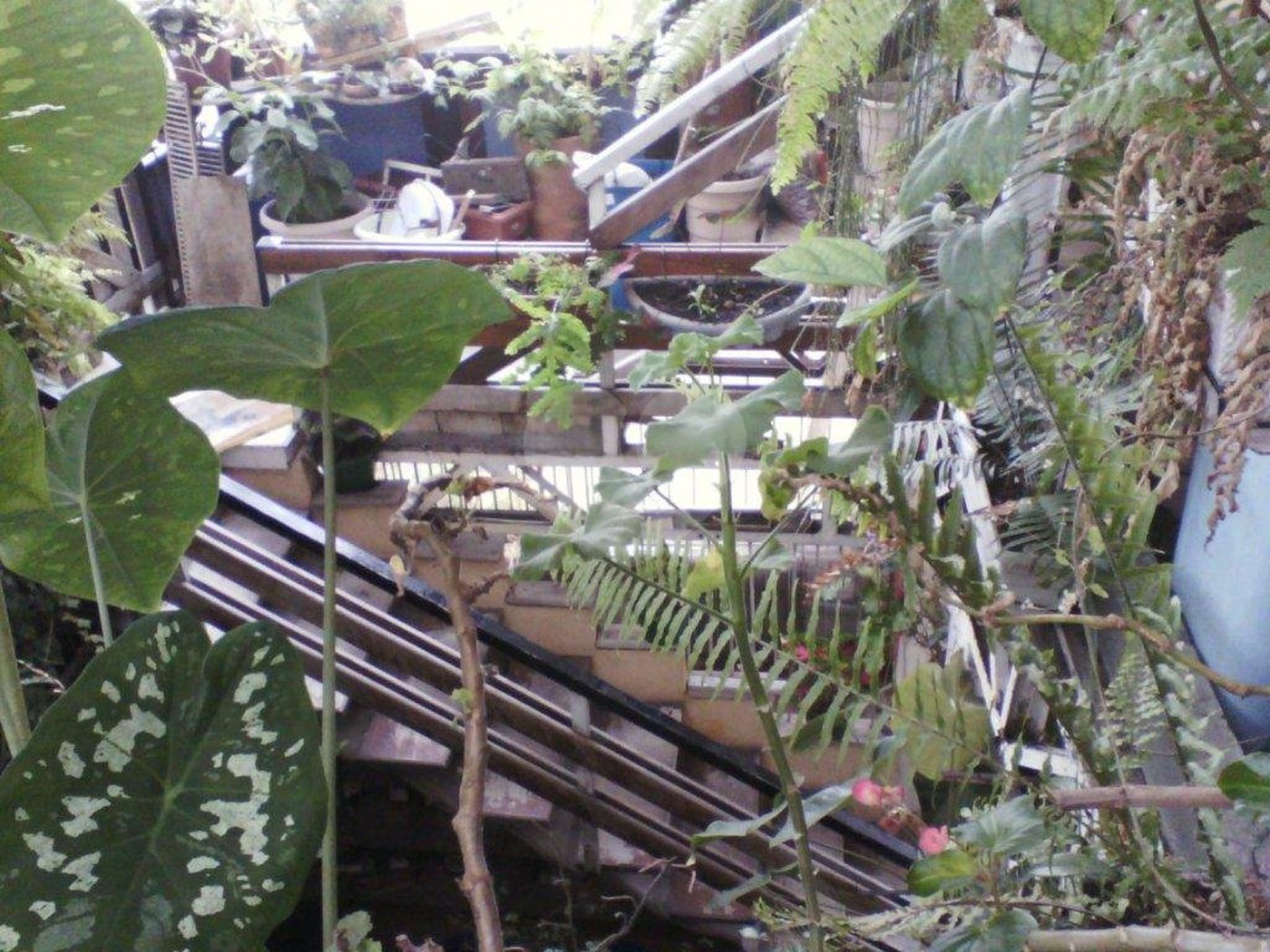 Prédio à venda em Água Fria, São Paulo, SP