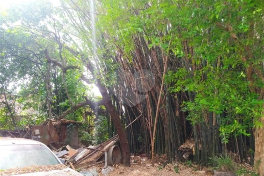 Terreno à venda com 5 quartos em Tucuruvi, São Paulo, SP