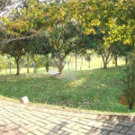 Casa à venda com 2 quartos, sendo 1 suíte, no condomínio Vinhas da Vista Alegre - Lado Sede, Vinhedo - SP