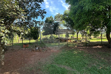 Chácara à venda em Jardim Universitário, Ponta Porã, MS