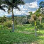 Casa à venda com 3 suítes em Alpes D'ouro, Bom Jesus dos Perdões, SP