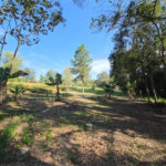 Chácara à venda com 4 quartos em Residencial Chácara da Planície, Sorocaba, SP