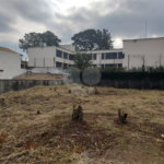 Terreno à venda com 1 suíte em Tucuruvi, São Paulo, SP