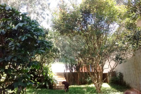 Casa à venda com 3 quartos, sendo 1 suíte,  em Eldorado, São Paulo, SP
