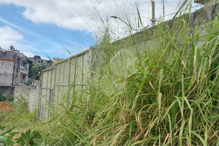 Terreno à venda em Guaianazes, São Paulo, SP