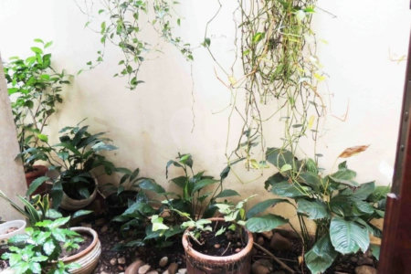 Sobrado à venda com 4 quartos, sendo 2 suítes, em Jardim Prudência, São Paulo, SP