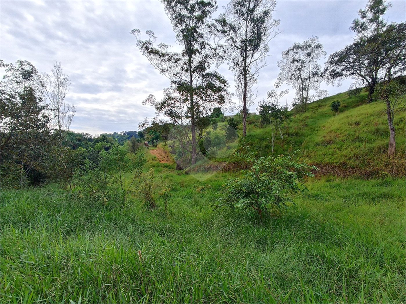 Terreno à venda em Jardim Monte Santo, Itapetininga, SP