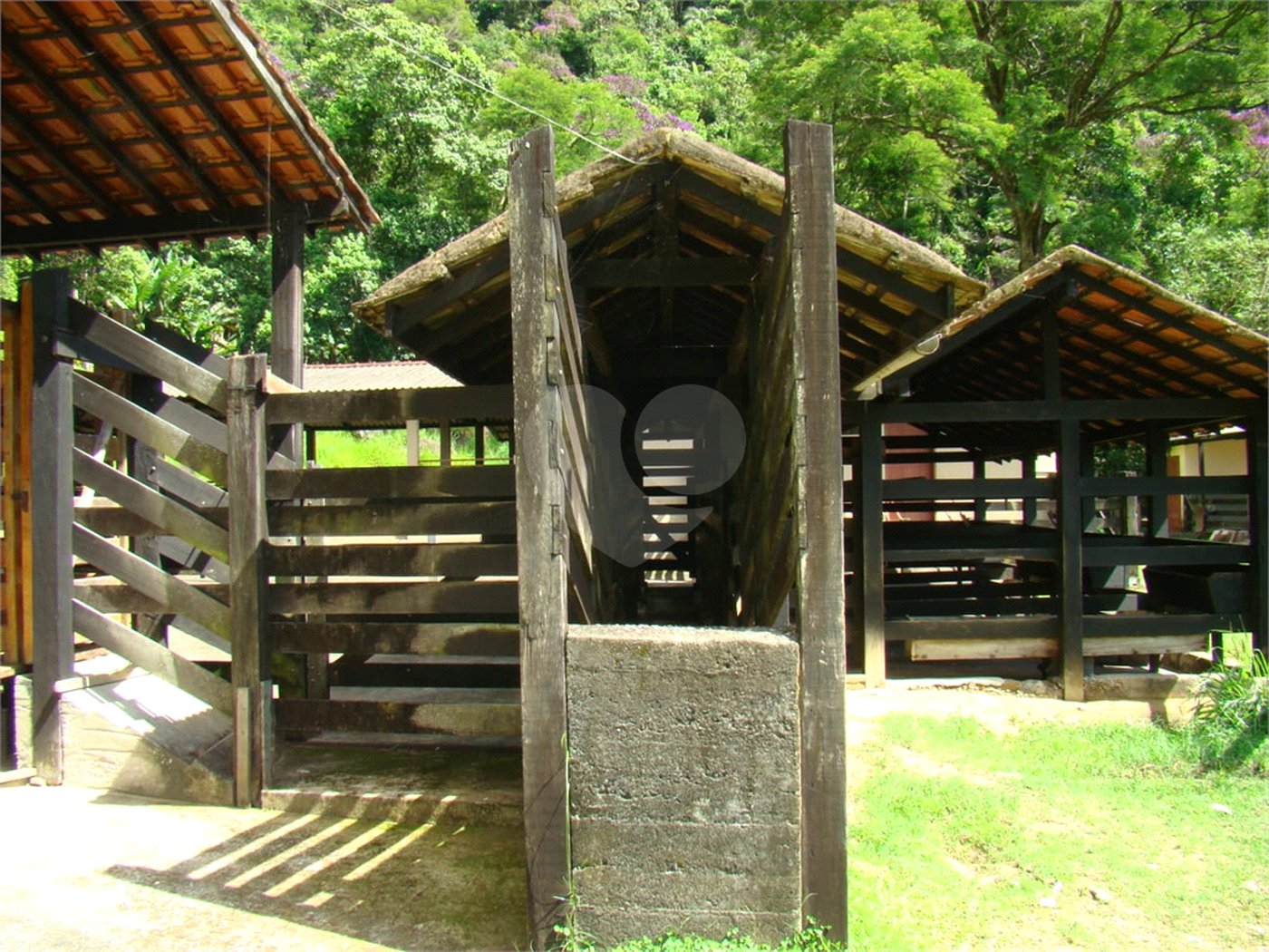 Fazenda à venda com 7 quartos, sendo 3 suítes, em Professor Souza, Casimiro de Abreu, RJ