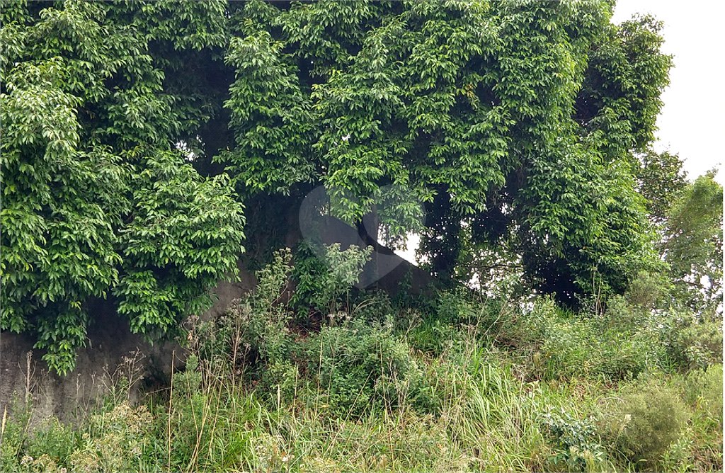 Terreno à venda em Vila Maria, São Paulo, SP