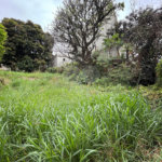 Terreno à venda em Santa Teresinha, São Paulo, SP