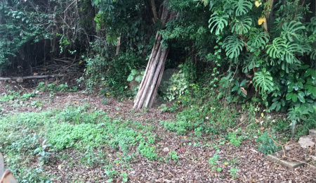 Terreno à venda em Horto Florestal, São Paulo, SP