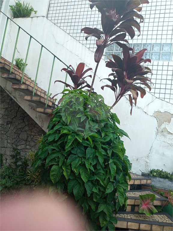 Casa à venda com 3 quartos em Vila Romana, São Paulo, SP