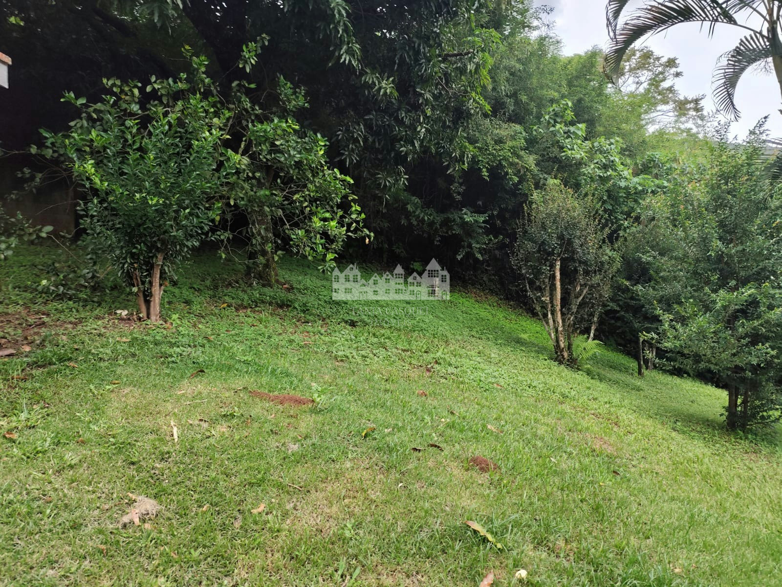 Sítio, 3 quartos, 1440 m² - Foto 28