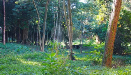 Terreno à venda no condomínio Chácara Flora, São Paulo - SP