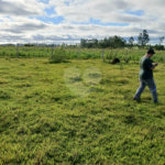 Terreno à venda em Área Rural de Guareí, Guareí, SP