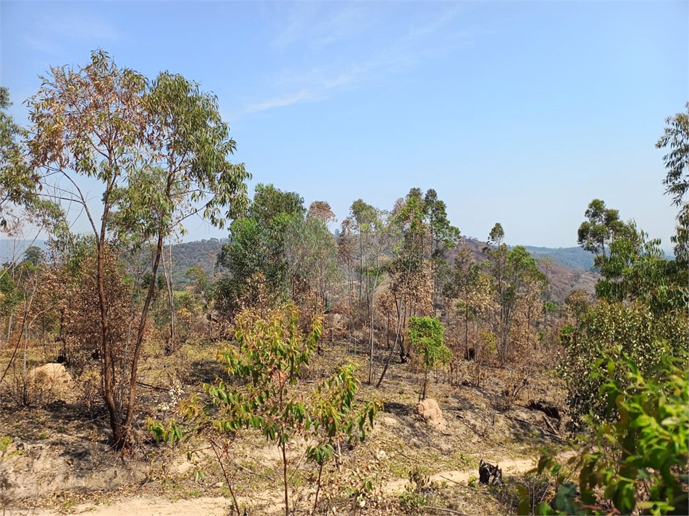 Terreno à venda em Área Rural de Mairiporã, Mairiporã, SP
