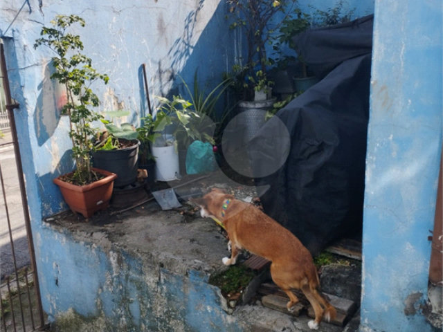 Casa Térrea à venda com 2 quartos em Vila Dom Pedro Ii, São Paulo, SP