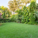 Casa à venda com 6 quartos, sendo 2 suítes, em Jardim Primaveril, Três Lagoas, MS
