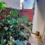 Apartamento à venda com 4 quartos em Vila Isabel, Rio de Janeiro, RJ