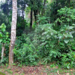 Terreno à venda no condomínio Sausalito, Mairiporã - SP