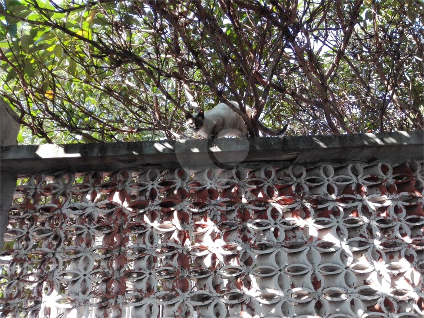 Sobrado à venda com 3 suítes em Parque Vitória, São Paulo, SP