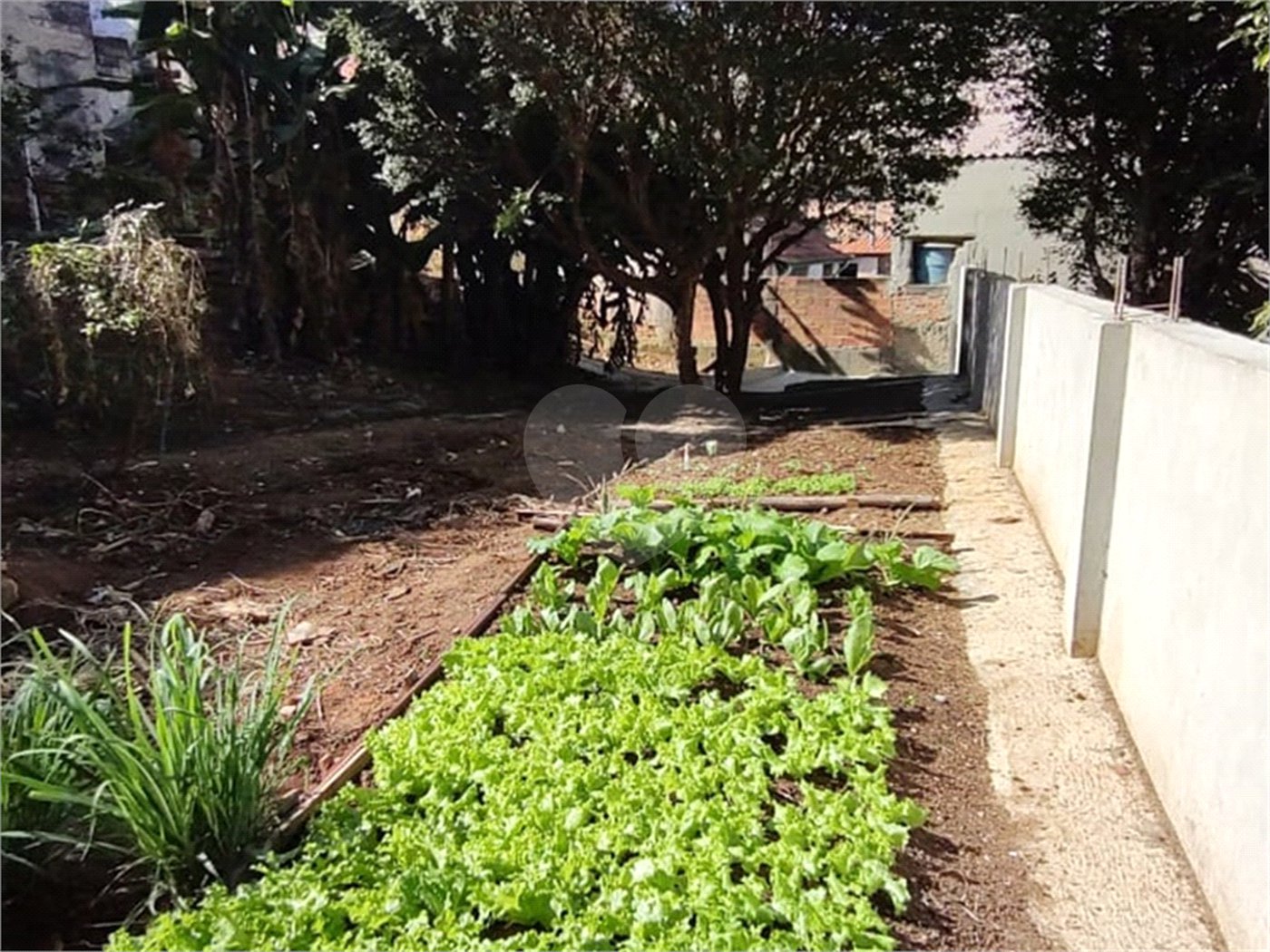 Terreno à venda em Vila Gustavo, São Paulo, SP
