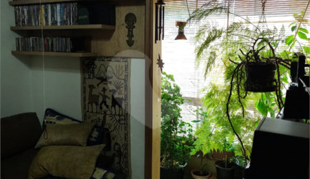 Apartamento à venda com 3 quartos, sendo 1 suíte, em Paraisópolis, São Paulo, SP